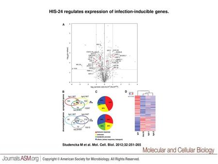 HIS-24 regulates expression of infection-inducible genes.