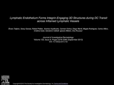Lymphatic Endothelium Forms Integrin-Engaging 3D Structures during DC Transit across Inflamed Lymphatic Vessels  Álvaro Teijeira, Saray Garasa, Rafael.