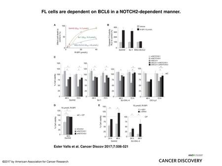 FL cells are dependent on BCL6 in a NOTCH2-dependent manner.