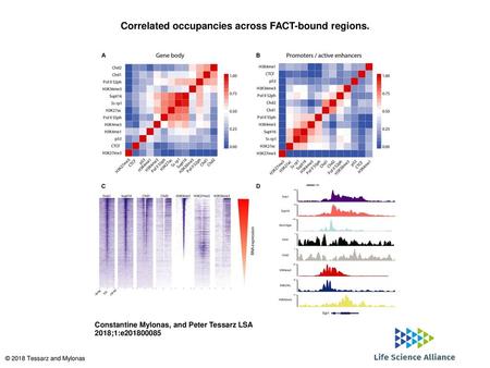 Correlated occupancies across FACT-bound regions.