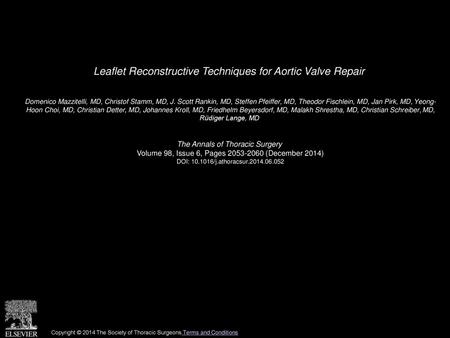 Leaflet Reconstructive Techniques for Aortic Valve Repair