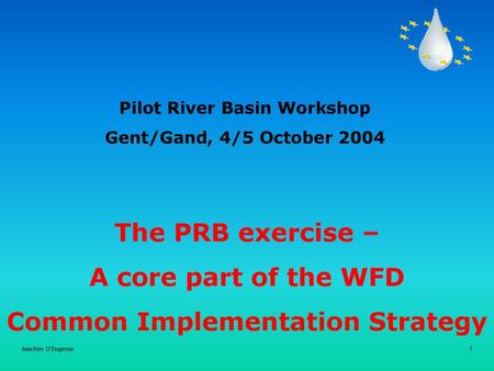 Pilot River Basin Workshop Common Implementation Strategy