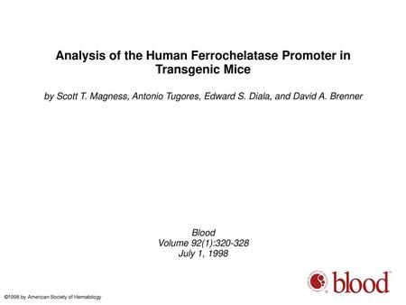 Analysis of the Human Ferrochelatase Promoter in Transgenic Mice