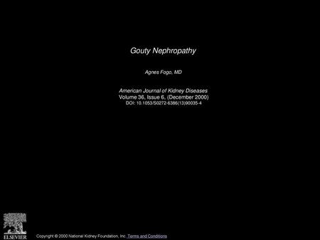 Gouty Nephropathy American Journal of Kidney Diseases