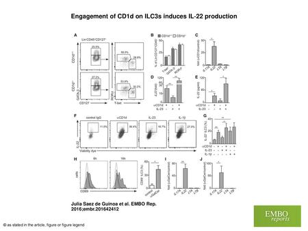 Engagement of CD1d on ILC3s induces IL‐22 production