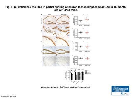 Fig. 6. C3 deficiency resulted in partial sparing of neuron loss in hippocampal CA3 in 16-month-old APP/PS1 mice. C3 deficiency resulted in partial sparing.