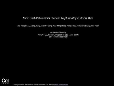 MicroRNA-29b Inhibits Diabetic Nephropathy in db/db Mice