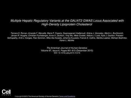 Multiple Hepatic Regulatory Variants at the GALNT2 GWAS Locus Associated with High-Density Lipoprotein Cholesterol  Tamara S. Roman, Amanda F. Marvelle,