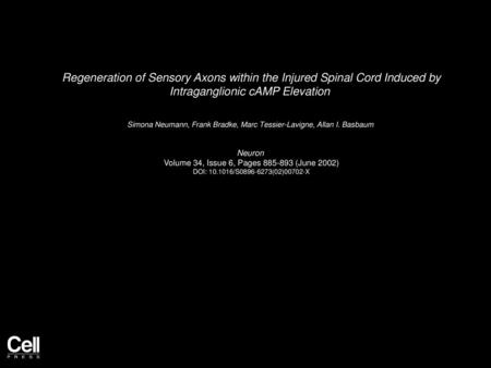 Regeneration of Sensory Axons within the Injured Spinal Cord Induced by Intraganglionic cAMP Elevation  Simona Neumann, Frank Bradke, Marc Tessier-Lavigne,