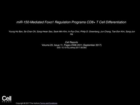 miR-150-Mediated Foxo1 Regulation Programs CD8+ T Cell Differentiation