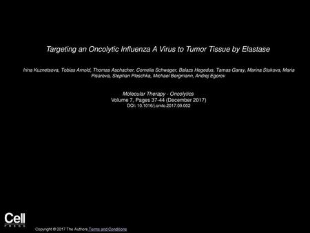 Targeting an Oncolytic Influenza A Virus to Tumor Tissue by Elastase