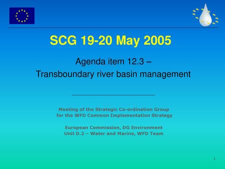 Agenda item 12.3 – Transboundary river basin management