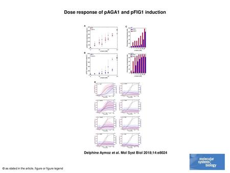 Dose response of pAGA1 and pFIG1 induction