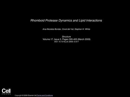 Rhomboid Protease Dynamics and Lipid Interactions
