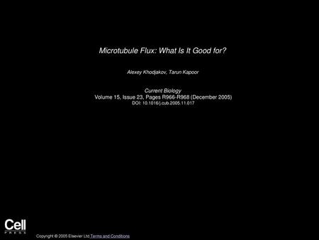 Microtubule Flux: What Is It Good for?