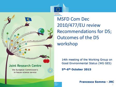 MSFD Com Dec 2010/477/EU review Recommendations for D5; Outcomes of the D5 workshop 14th meeting of the Working Group on Good Environmental Status.
