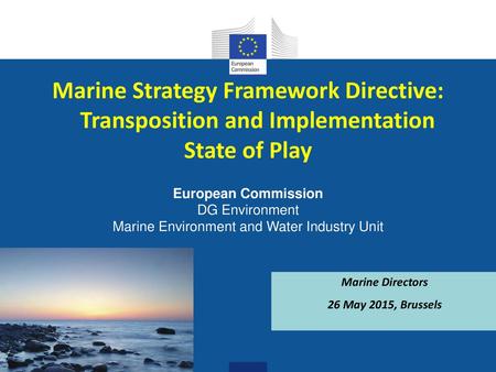Marine Strategy Framework Directive: Transposition and Implementation