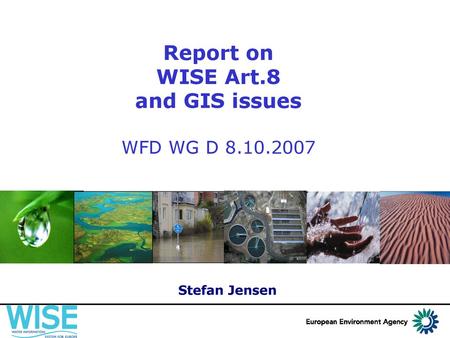 Report on WISE Art.8 and GIS issues