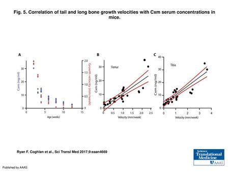 Fig. 5. Correlation of tail and long bone growth velocities with Cxm serum concentrations in mice. Correlation of tail and long bone growth velocities.
