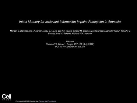 Intact Memory for Irrelevant Information Impairs Perception in Amnesia