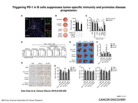 Triggering PD-1 in B cells suppresses tumor-specific immunity and promotes disease progression. Triggering PD-1 in B cells suppresses tumor-specific immunity.