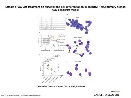Effects of AG-221 treatment on survival and cell differentiation in an IDH2R140Q primary human AML xenograft model. Effects of AG-221 treatment on survival.