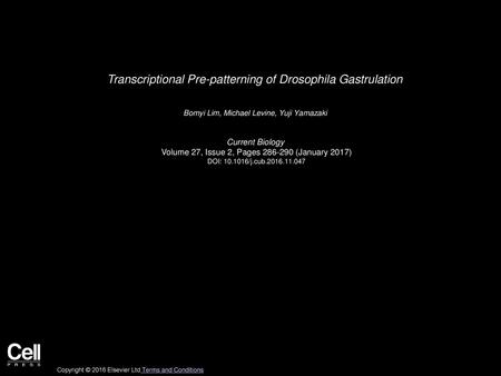 Transcriptional Pre-patterning of Drosophila Gastrulation