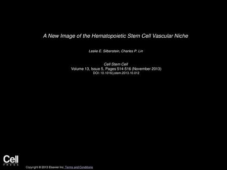 A New Image of the Hematopoietic Stem Cell Vascular Niche