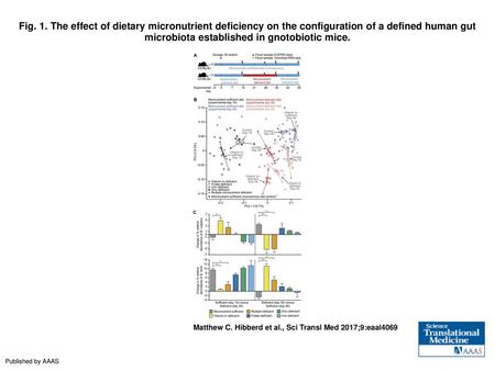 Fig. 1. The effect of dietary micronutrient deficiency on the configuration of a defined human gut microbiota established in gnotobiotic mice. The effect.