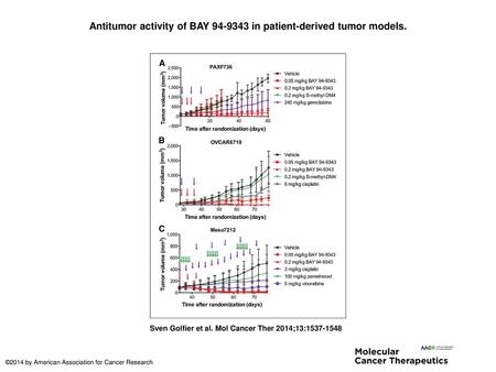 Antitumor activity of BAY in patient-derived tumor models.