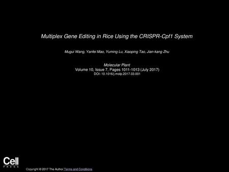 Multiplex Gene Editing in Rice Using the CRISPR-Cpf1 System