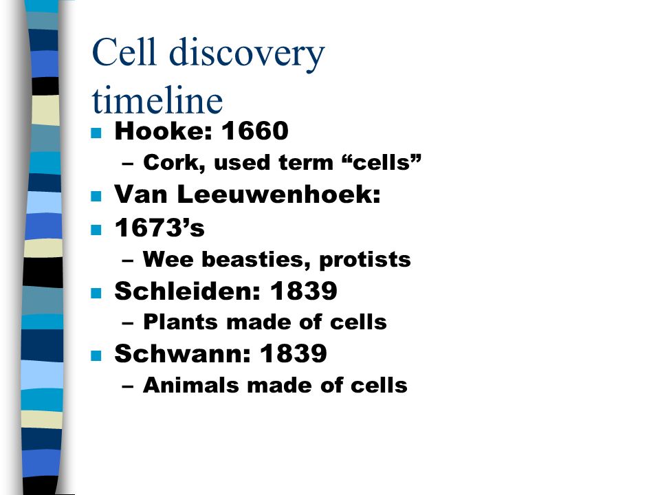 download protein degradation in