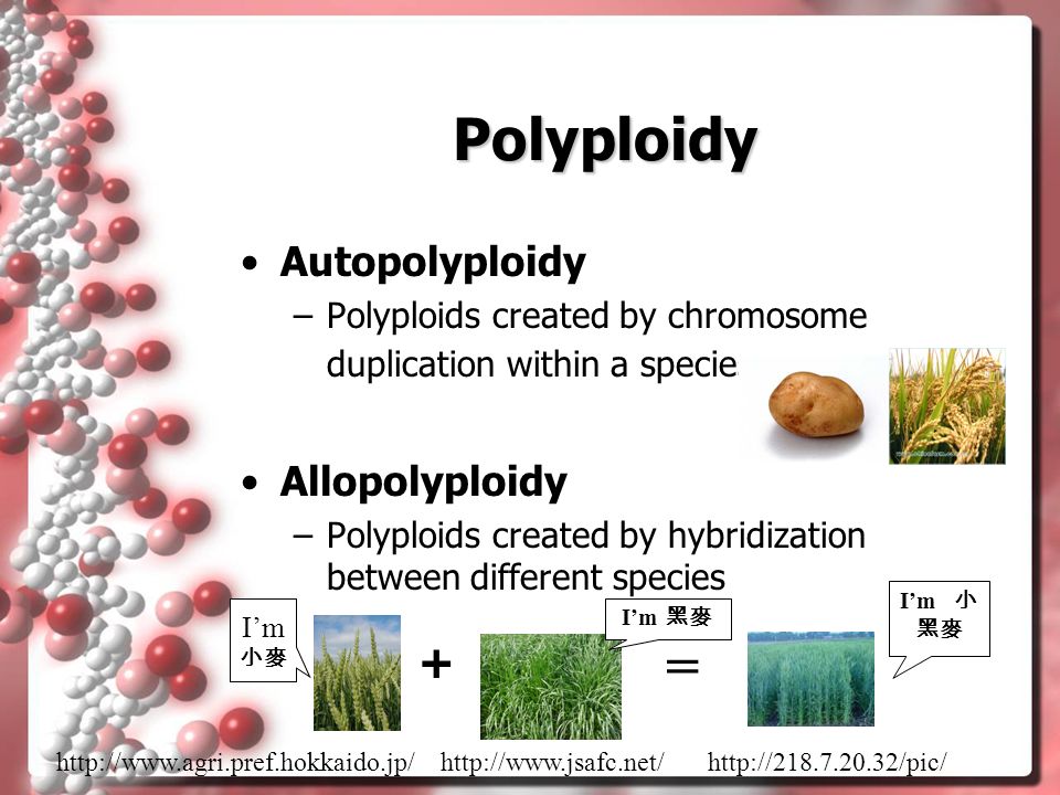 online Botany or the Modern