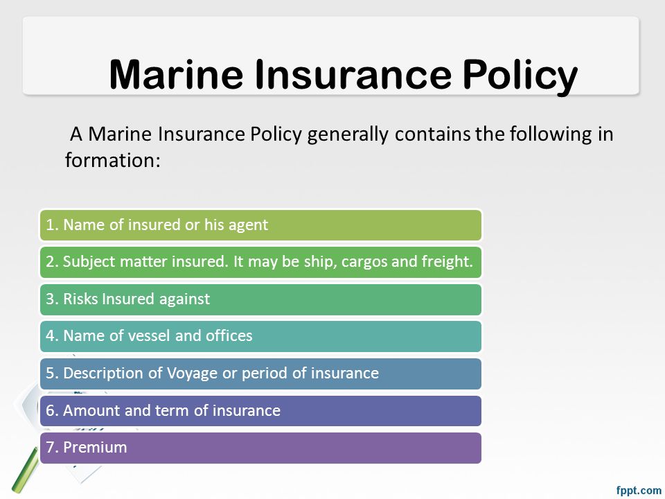 Top-Notch Boat Insurance [Infographic]