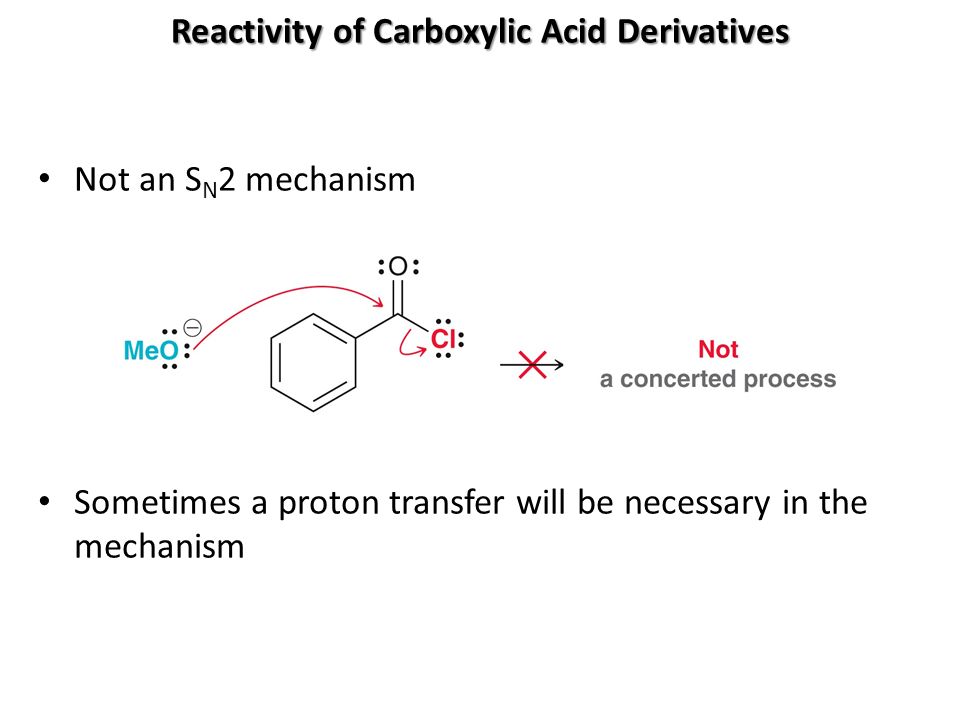 buy reviews of physiology biochemistry