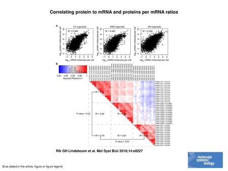 Correlating protein to mRNA and proteins per mRNA ratios