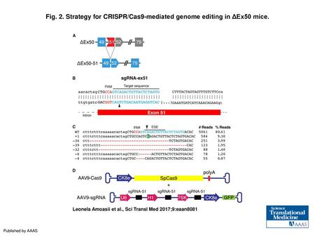 Strategy for CRISPR/Cas9-mediated genome editing in ΔEx50 mice