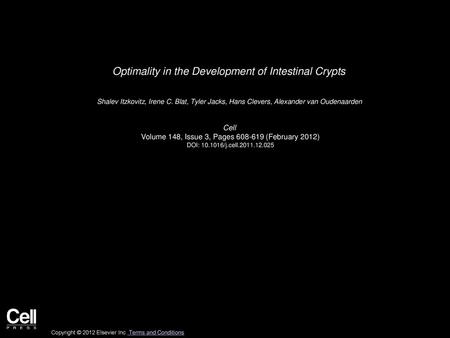 Optimality in the Development of Intestinal Crypts