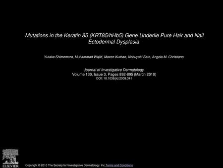 Mutations in the Keratin 85 (KRT85/hHb5) Gene Underlie Pure Hair and Nail Ectodermal Dysplasia  Yutaka Shimomura, Muhammad Wajid, Mazen Kurban, Nobuyuki.