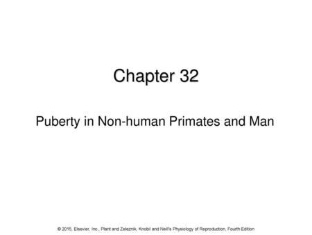Puberty in Non-human Primates and Man