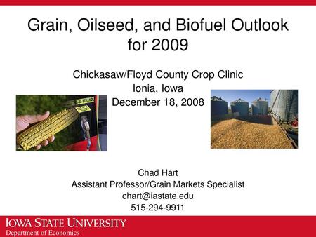 Grain, Oilseed, and Biofuel Outlook for 2009