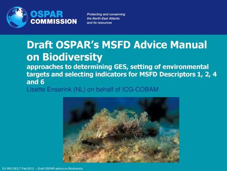 16 april 2009 Draft OSPAR’s MSFD Advice Manual on Biodiversity approaches to determining GES, setting of environmental targets and selecting indicators.