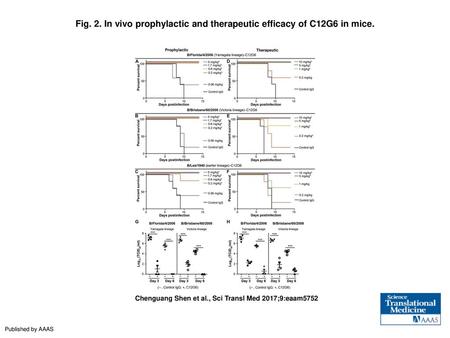 In vivo prophylactic and therapeutic efficacy of C12G6 in mice