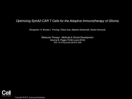 Optimizing EphA2-CAR T Cells for the Adoptive Immunotherapy of Glioma