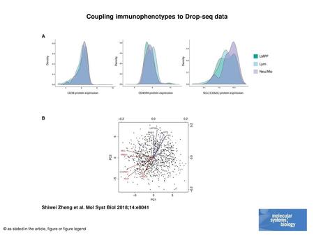 Coupling immunophenotypes to Drop‐seq data