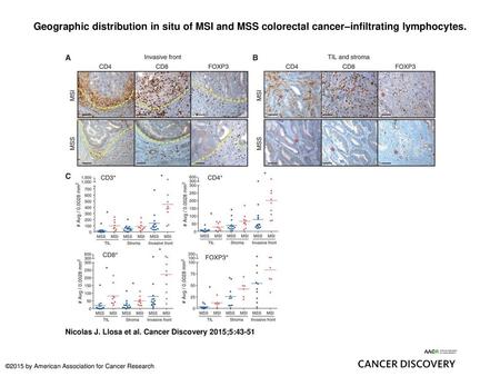 Geographic distribution in situ of MSI and MSS colorectal cancer–infiltrating lymphocytes. Geographic distribution in situ of MSI and MSS colorectal cancer–infiltrating.