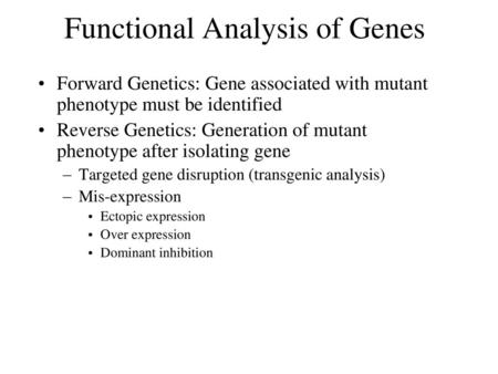 Functional Analysis of Genes