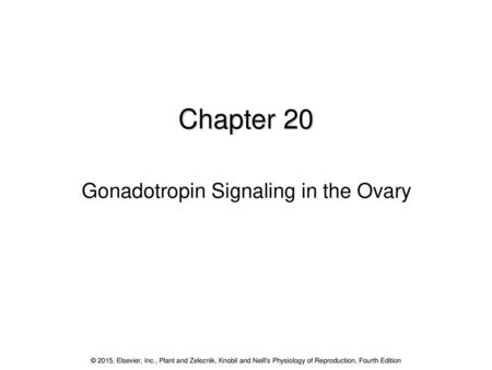 Gonadotropin Signaling in the Ovary