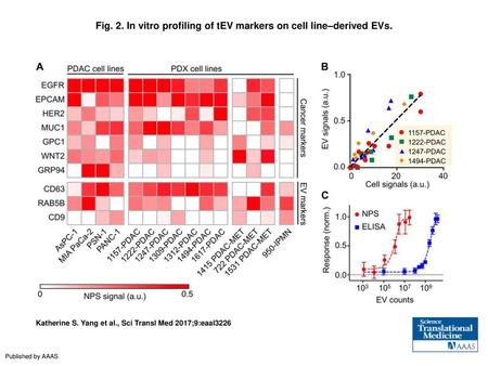Fig. 2. In vitro profiling of tEV markers on cell line–derived EVs.