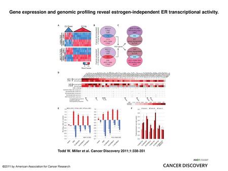 Gene expression and genomic profiling reveal estrogen-independent ER transcriptional activity. Gene expression and genomic profiling reveal estrogen-independent.